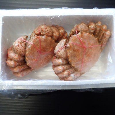 ＜12/10まで年内配送＞ボイル毛がに500～600g×2尾 F-14030