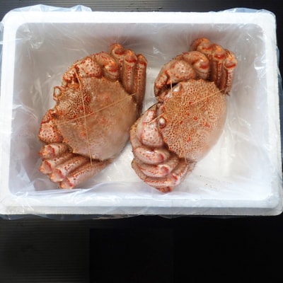 ＜12/10まで年内配送＞ボイル毛がに700～900g×2尾 D-14057