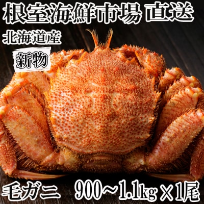 ＜12/10まで年内配送＞根室海鮮市場＜直送＞ボイル毛がに900g～1.1kg×1尾 F-28029