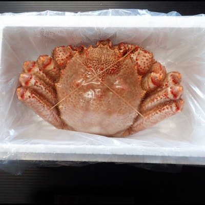 ＜12/10まで年内配送＞根室海鮮市場＜直送＞ボイル毛がに900g～1.1kg×1尾 F-28029