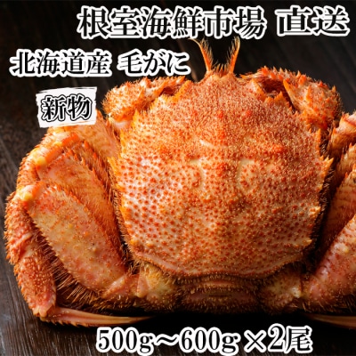 ＜12/10まで年内配送＞根室海鮮市場＜直送＞ボイル毛がに500～600g×2尾 F-28030