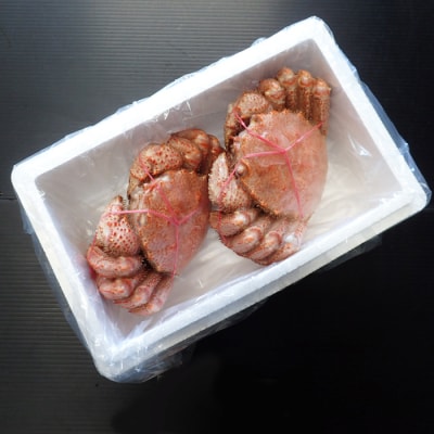 ＜12/10まで年内配送＞根室海鮮市場＜直送＞ボイル毛がに500～600g×2尾 F-28030