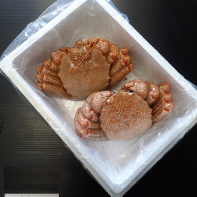 ＜12/10まで年内配送＞根室海鮮市場＜直送＞ボイル毛がに700～900g×2尾 D-28055