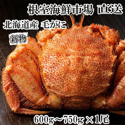 ＜12/10まで年内配送＞根室海鮮市場＜直送＞ボイル毛がに600～750g×1尾 B-28124