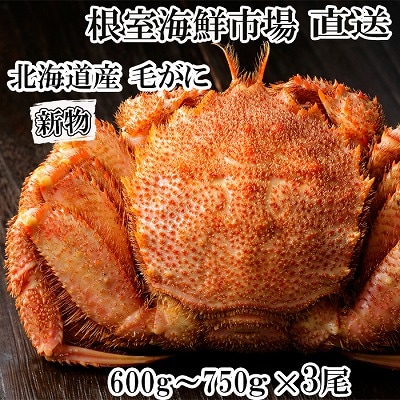 ＜12/10まで年内配送＞根室海鮮市場＜直送＞ボイル毛がに600～750g×3尾 D-28062