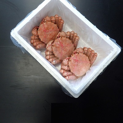 ＜12/10まで年内配送＞根室海鮮市場＜直送＞ボイル毛がに600～750g×3尾 D-28062