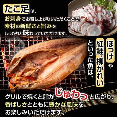 ＜12/21まで年内配送＞ふるさと海鮮セット(金) C-70032