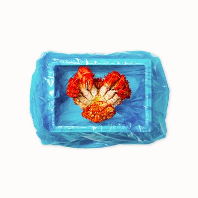 ＜12/14まで年内配送＞★花咲かに900g×1尾 B-20014