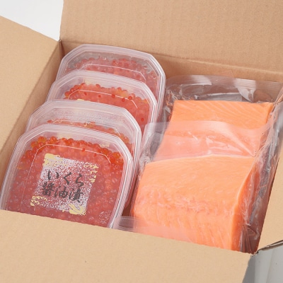 ＜12/17まで年内配送＞いくら醤油漬80g×4P・アトランティックサーモン2～3P B-81018