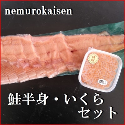 ＜12/21まで年内配送＞鮭半身(切身)とイクラの醤油漬けセット C-57058