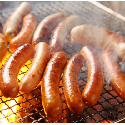 愛媛県内子町の道の駅からりの人気燻製商品詰め合わせ!内子豚ソーセージ5種セット