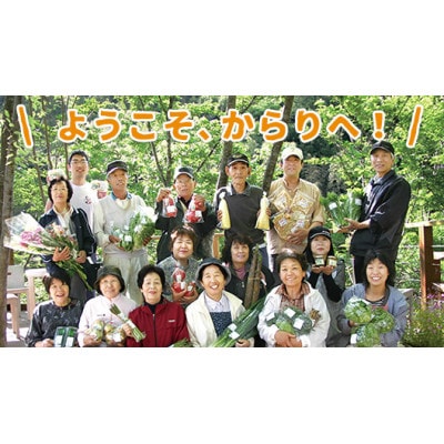 内子からり米使用もち麦ご飯 160g×24パック