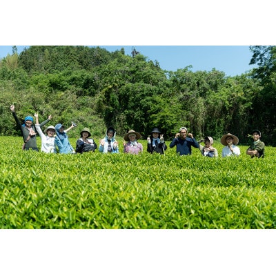 【有機和紅茶・緑茶】べにふうき和紅茶&緑茶フルセット
