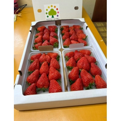 季節のイチゴ詰め合わせ　4パック