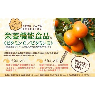 【TVで紹介されました!】 きんかん 糖度16度以上 たまたま A2L サイズ [31ab0063]