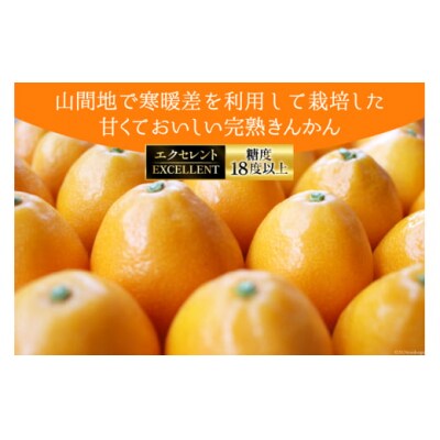 【期間限定発送】 糖度18度以上 きんかん 「たまたま エクセレント」 1kg [31ab0064]