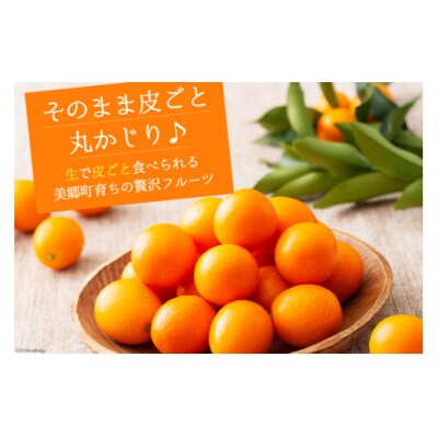 【期間限定発送】 糖度18度以上 きんかん 「たまたま エクセレント」 1kg [31ab0064]