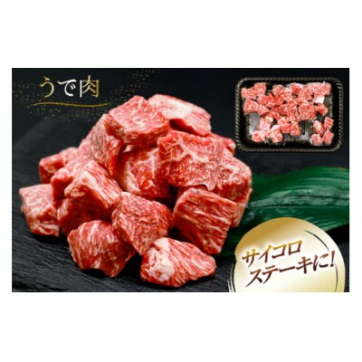 肉 牛肉 宮崎牛うで肉 サイコロカット 500g 牛心フードサービス 宮崎県 [31bm0058]
