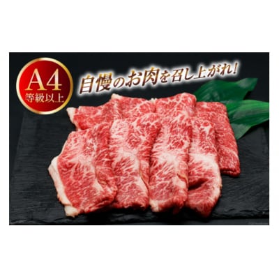 肉 牛肉 ブランド牛 宮崎牛 牛うで肉 スライス 400g×2 計800g [31bm0056]