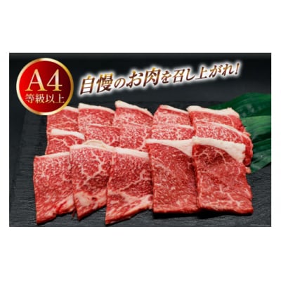 肉 牛肉 宮崎牛 牛うで肉 焼肉用 400g×3 計1.2kg [31bm0054]