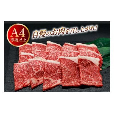 肉 牛肉 宮崎牛 牛うで肉 焼肉用 400g×2 計800g [31bm0053]