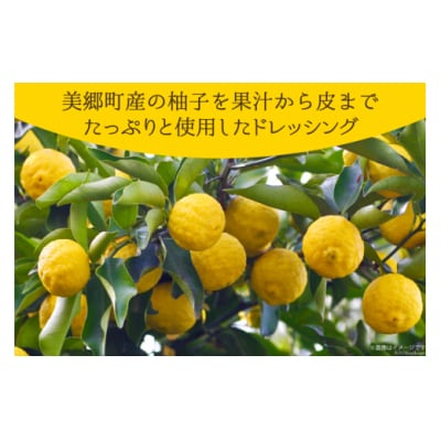 調味料 ゆず ドレッシング 300ml×2本 セット 農林産物直売所 美郷ノ蔵 [31ab0072]