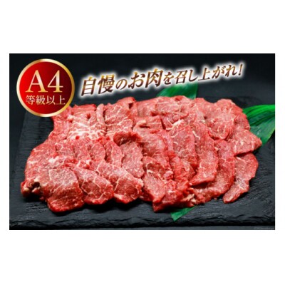 【A4等級以上】 肉 牛肉 宮崎牛 赤身 モモ赤身 焼肉用 500g×2 [31bm0047]