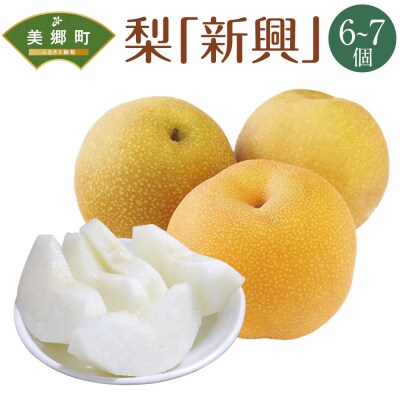 【期間限定発送】 梨 新興 6～7個 農産物直売所 美郷ノ蔵 宮崎県 美郷町 [31ab0134]