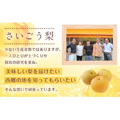 【期間限定発送】 梨 新興 6～7個 農産物直売所 美郷ノ蔵 宮崎県 美郷町 [31ab0134]