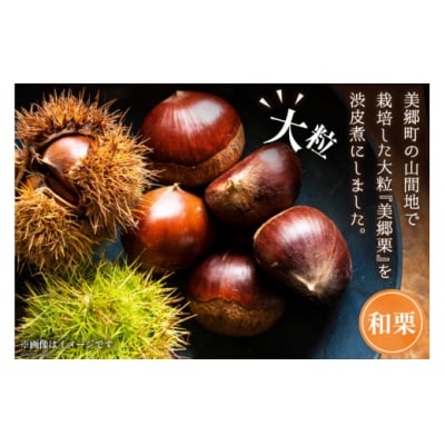 【美郷栗を使用!】 栗の渋皮煮 200g 6p セット 計1.2kg [31ab0080]
