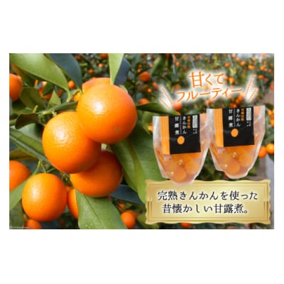 完熟 きんかん 甘露煮 170g×10袋 セット 春夏秋冬いっつもや [31ab0081]