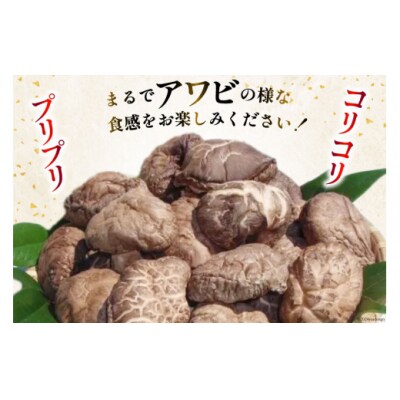 宮崎県産 乾椎茸 ギフト どんこ「M-30」 150g 肉厚 岡田商店 宮崎県 [31ac0038]