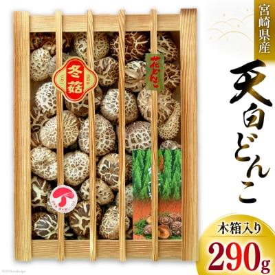 宮崎県産 乾椎茸 ギフト 天白 どんこ 「K-100」 290g 肉厚 [31ac0037]