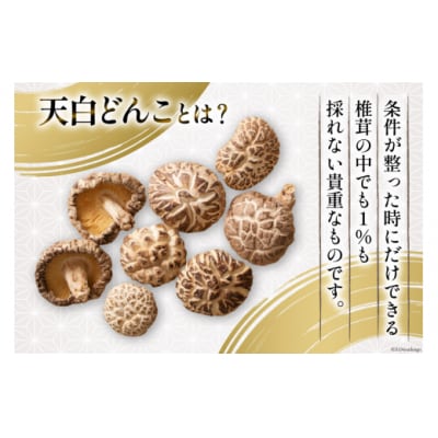 宮崎県産 乾椎茸 ギフト 天白 どんこ 「K-100」 290g 肉厚 [31ac0037]