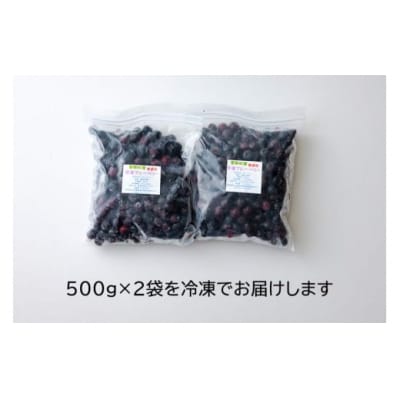 ブルーベリー 冷凍 500g × 2袋 1kg 農林産物直売所 美郷ノ蔵 [31ab0135]