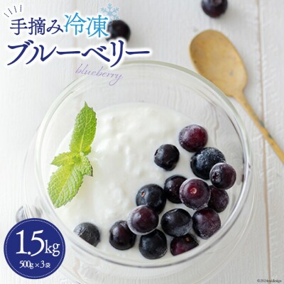 【数量限定】ブルーベリー 冷凍 500g×3袋 1.5kg 農林産物直売所 [31ab0091]