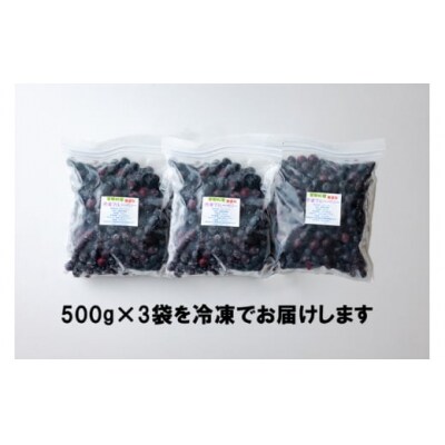 【数量限定】ブルーベリー 冷凍 500g×3袋 1.5kg 農林産物直売所 [31ab0091]