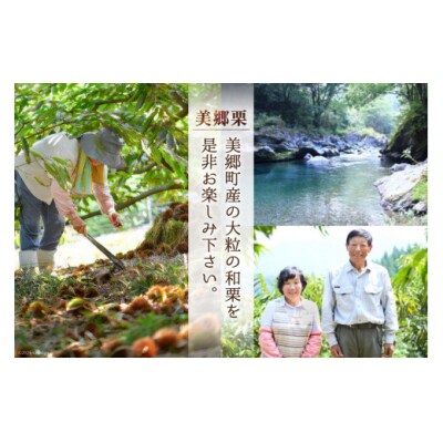 和菓子 栗の渋皮煮 200g×2袋 セット 春夏秋冬いっつもや 宮崎県 [31ab0093]