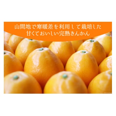 完熟 きんかん 甘露煮 170g×2袋 セット 春夏秋冬いっつもや [31ab0096]