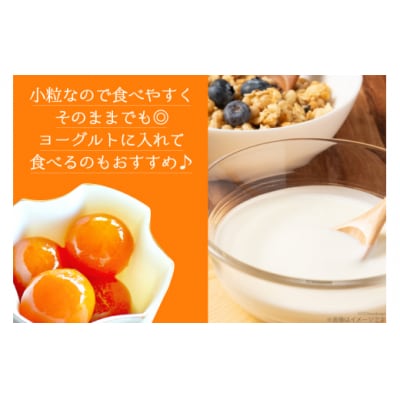 完熟 きんかん 甘露煮 170g×2袋 セット 農林産物直売所 美郷ノ蔵 [31ab0096]