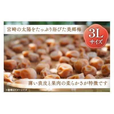 南高梅 梅干し 美郷梅 一粒入り うま味昆布 & シソ風味 各6粒 3Lサイズ [31ab0101]