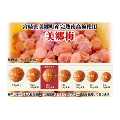 南高梅 梅干し 美郷梅 一粒入り うま味昆布 & シソ風味 各6粒 3Lサイズ [31ab0101]