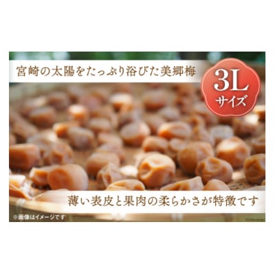 南高梅 梅干し 美郷梅 昆布 200g×2 3Lサイズ 塩分控えめ A級品 [31ab0109]