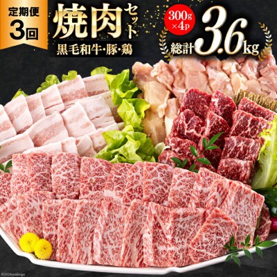 牛肉 3回 定期便 宮崎県産 焼肉 セット 黒毛和牛カルビ 豚バラ 若鶏モモ [31ba0036]