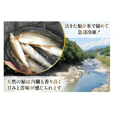【数量限定】 宮崎県 美郷町 天然 鮎 約300g [31af0004]