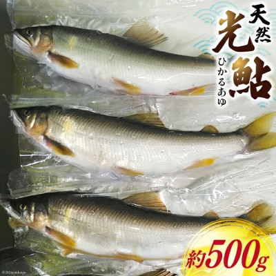 【数量限定】 宮崎県 美郷町 天然 鮎 約500g [31af0005]