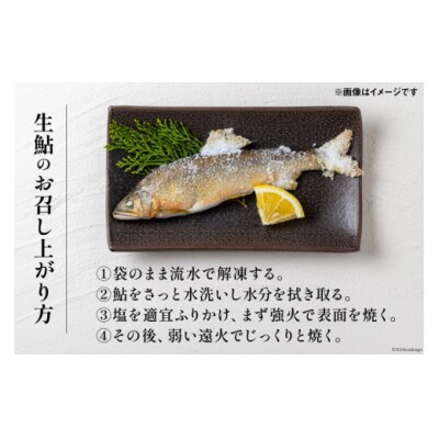 【数量限定】 宮崎県 美郷町 天然 鮎 約500g [31af0005]