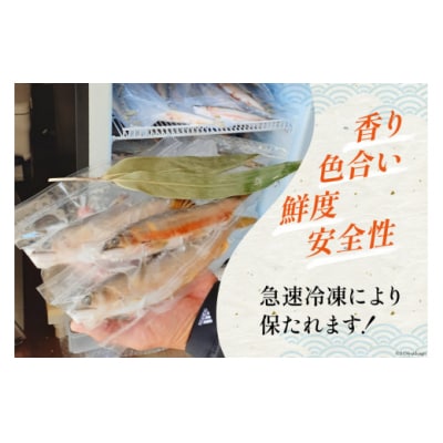 【数量限定】 宮崎県 美郷町 天然 鮎 約500g [31af0005]