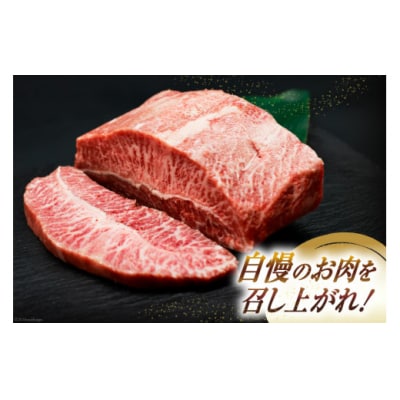 肉 牛肉 宮崎牛 牛みすじステーキ 450g 牛心フードサービス 宮崎県 [31bm0061]