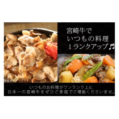 牛肉 宮崎牛 小間切れ 200g 5p 計1kg マルミヤストア 宮崎県 [31ag0108]